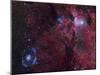 Emission Nebula Ngc 6188 Star Formation Region in Ara-Stocktrek Images-Mounted Photographic Print