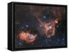 Emission Nebulae IC 1848 And IC 1805-Davide De Martin-Framed Stretched Canvas