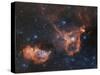 Emission Nebulae IC 1848 And IC 1805-Davide De Martin-Stretched Canvas