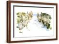 Brown Frame