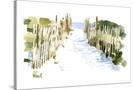 Stretched Canvas