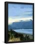 Essential Black