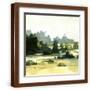 Brown Frame