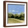 Brown Frame