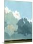 Wood Mount