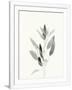 Gramercy White