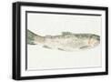 Black Frame