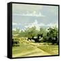 Canvas Black
