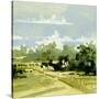 Stretched Canvas