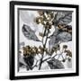 Gramercy Black