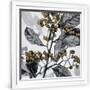 Gramercy White