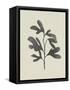 Canvas Black