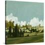Stretched Canvas