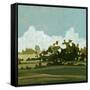 Canvas Black
