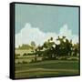 Canvas Black