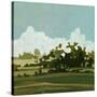 Stretched Canvas