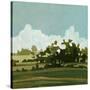 Stretched Canvas