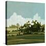 Stretched Canvas