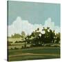 Stretched Canvas