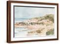 Brown Frame