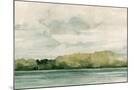 Wood Mount