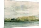 Wood Mount
