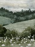 Scripted Landscape II-Emma Caroline-Art Print