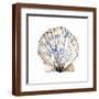 Brown Frame