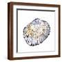 Brown Frame