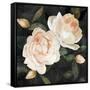 Canvas Black