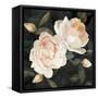 Canvas Black