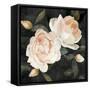 Canvas Black