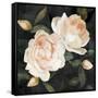 Canvas Black