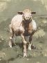 Just the Print