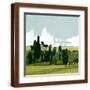 Brown Frame
