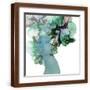 Brown Frame