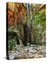 Emma Falls, Emma Gorge, Kimberley, Western Australia, Australia, Pacific-Schlenker Jochen-Stretched Canvas