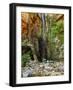 Emma Falls, Emma Gorge, Kimberley, Western Australia, Australia, Pacific-Schlenker Jochen-Framed Photographic Print