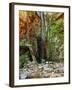 Emma Falls, Emma Gorge, Kimberley, Western Australia, Australia, Pacific-Schlenker Jochen-Framed Photographic Print