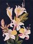 Laminate