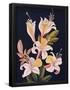 Essential Black