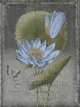 Botanica Fern-Emma Hill-Giclee Print