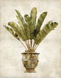 Botanica Fern-Emma Hill-Framed Giclee Print