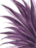 Violet Palms 1-Emma Jones-Framed Giclee Print