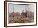 Brown Frame