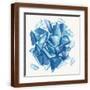 Brown Frame