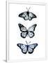 Gramercy White