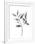 Gramercy White