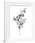 Gramercy White