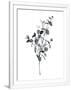 Gramercy White